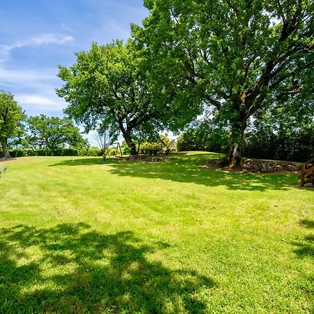 Surrounded By Greenery With Swimming Pool In